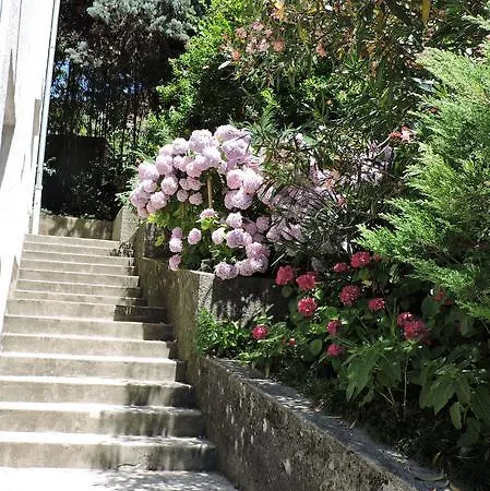 Andrea オパティヤ